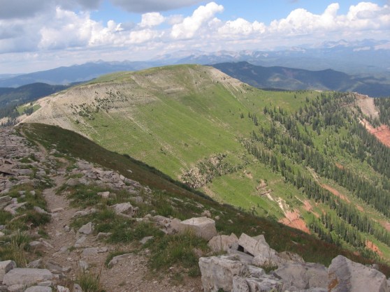 1591705054_29a3414f89_o