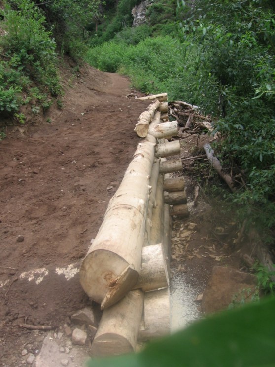 1018065917_a53e60493f_o