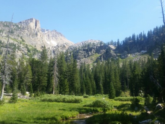 20150801_162747.jpg image