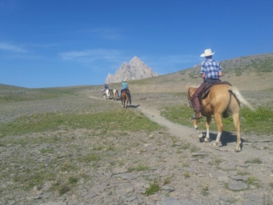 20150801_174851.jpg image