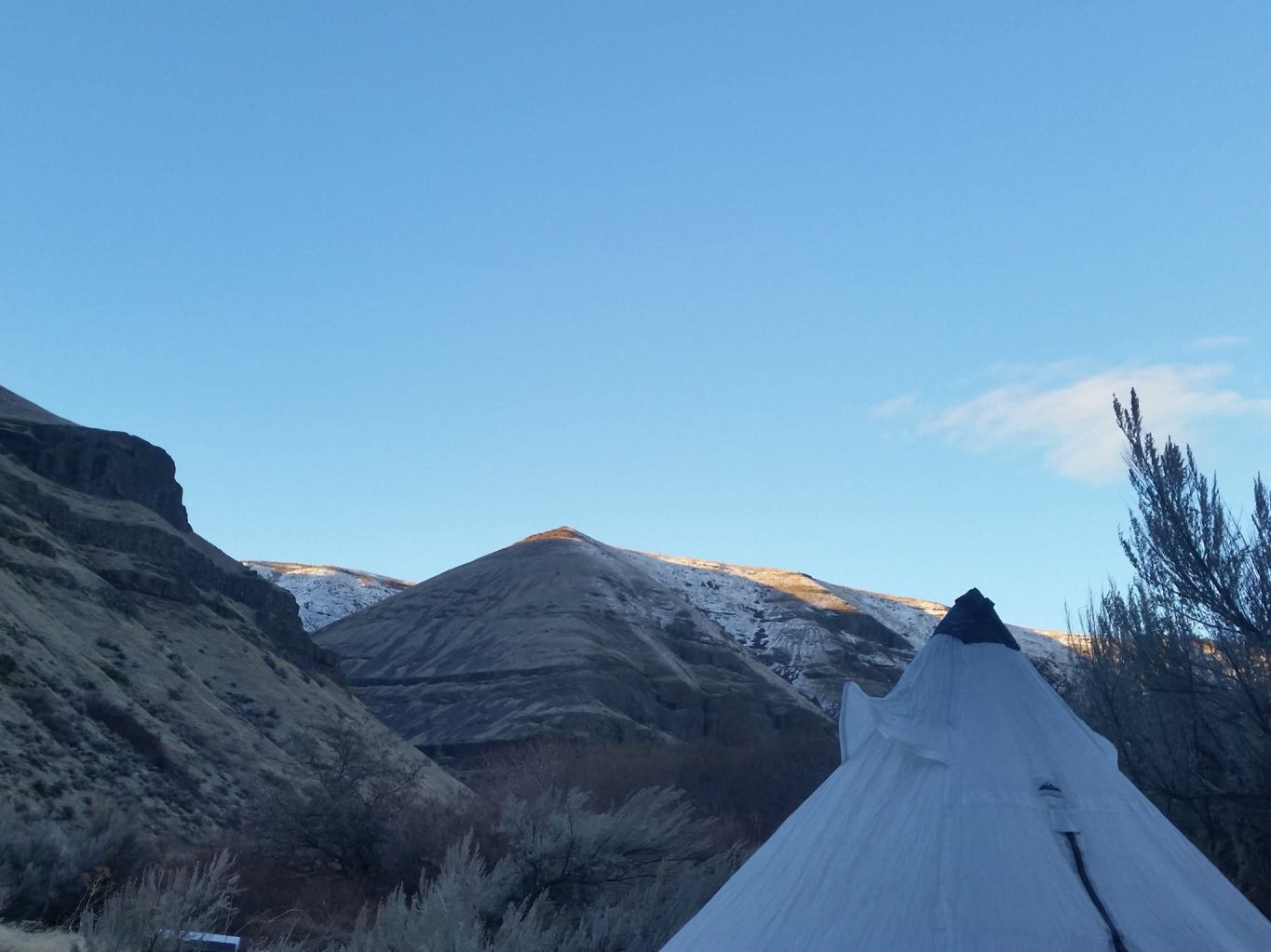 12401663_10153831761078887_3625319127404448369_o