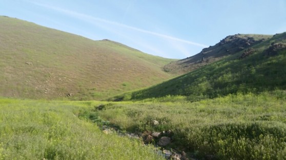 20160530_073615.jpg image