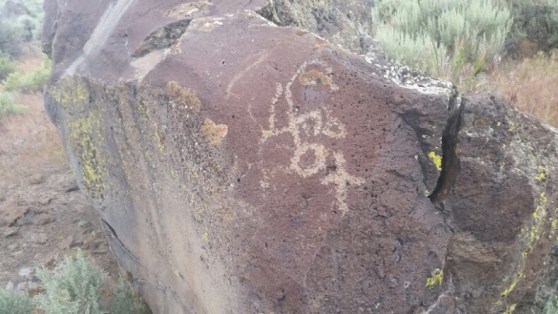 20160610_073332.jpg image