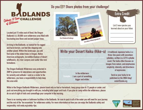 Badlands Challenge Map_for web_Page_2